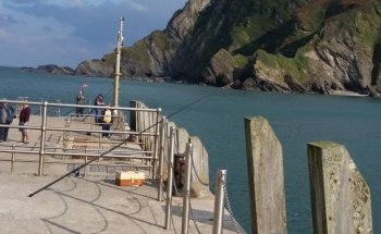 The Ilfracombe Aquarium