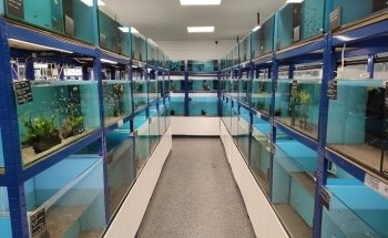 Premier Aquatics ltd