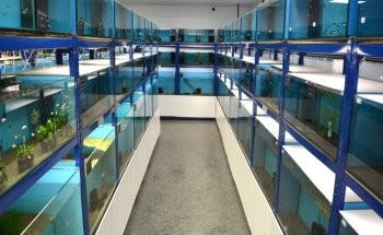 Premier Aquatics ltd