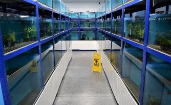 Premier Aquatics ltd