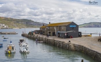 Lyme Regis Marine Aquarium