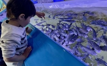 Lyme Regis Marine Aquarium