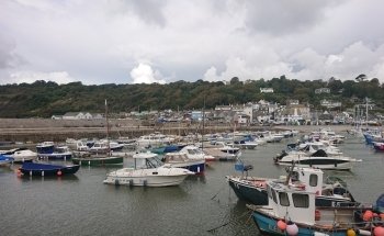Lyme Regis Marine Aquarium