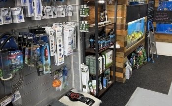Sustainable Aquatics