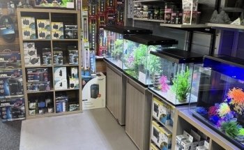 Sustainable Aquatics