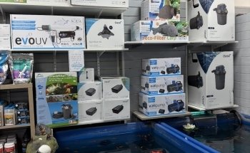Sustainable Aquatics