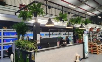 Coast Aquatics