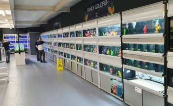 Coast Aquatics