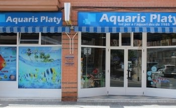 Aquaris Platy