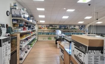 Maidenhead Aquatics Enfield