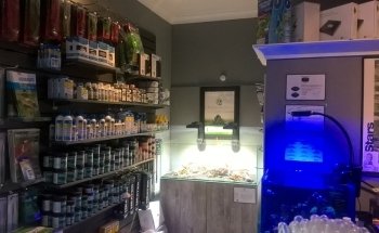 Octopus 8 Aquatics