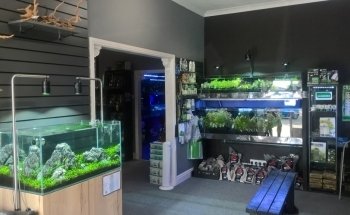 Octopus 8 Aquatics