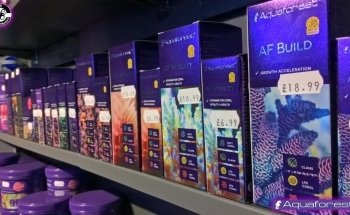 Octopus 8 Aquatics