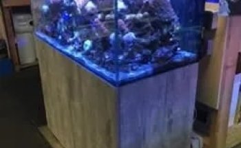 Aquatics Supplies & Services Wales Ltd