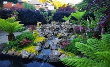 Aquatics Supplies & Services Wales Ltd