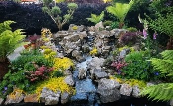 Aquatics Supplies & Services Wales Ltd
