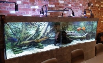 ND Aquatics Ltd
