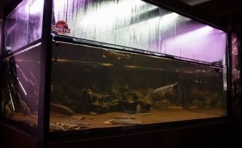 ND Aquatics Ltd
