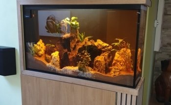 ND Aquatics Ltd