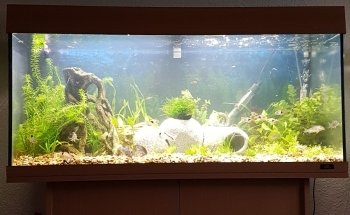 The Aquatic Habitat