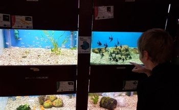 The Aquatic Habitat