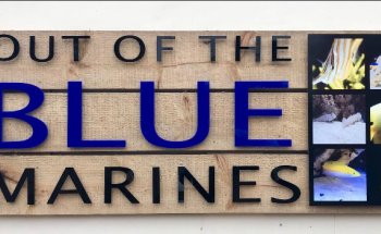 Out Of The Blue Marines