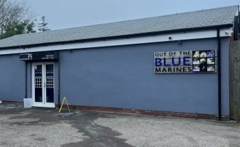 Out Of The Blue Marines
