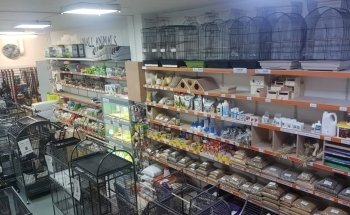 Newport Pets
