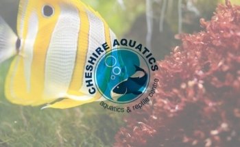 Cheshire Aquatics