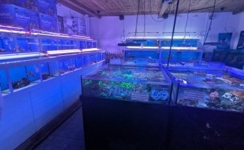 Cheshire Aquatics
