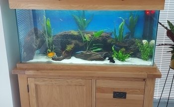 The Fish Den Aquatics Ltd