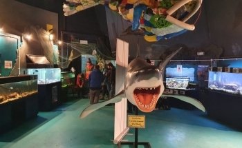 Ocean Lab - Sea Trust Wales
