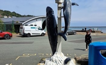 Ocean Lab - Sea Trust Wales