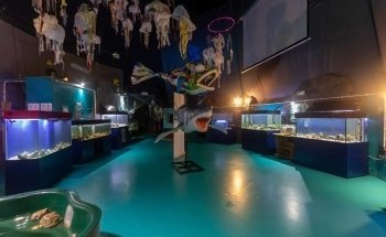 Ocean Lab - Sea Trust Wales