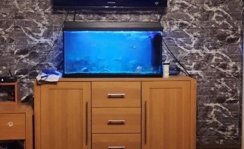 The Aquarium People