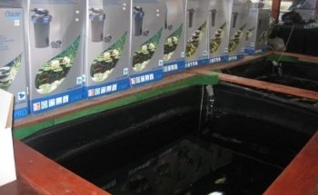 Fish & Pond Centre Ltd