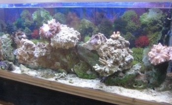 Fish & Pond Centre Ltd
