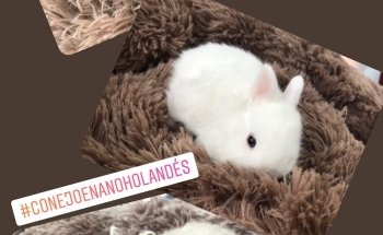 Tienda animales DonCan