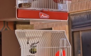 Tienda animales DonCan