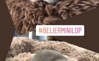 Tienda animales DonCan