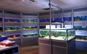 The Trop Shop Brentwood