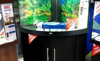 The Trop Shop Brentwood