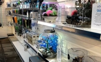 The Trop Shop Brentwood