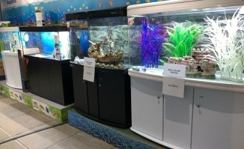 The Trop Shop Brentwood