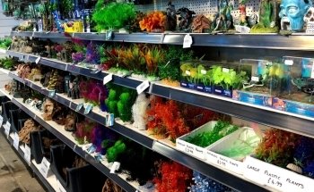 The Trop Shop Brentwood