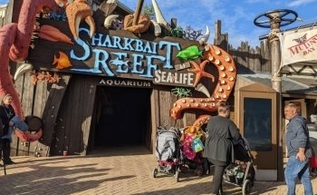 Sharkbait Reef