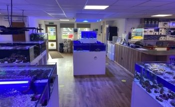 Marine Fish Shop
