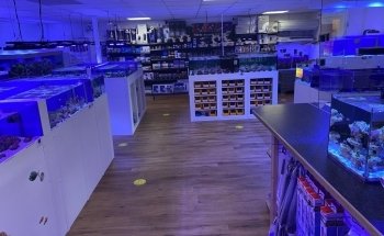 Marine Fish Shop