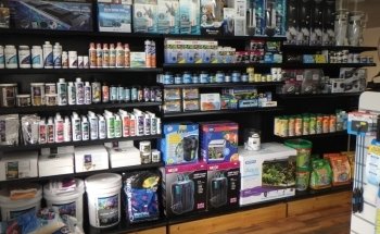 Marine Fish Shop
