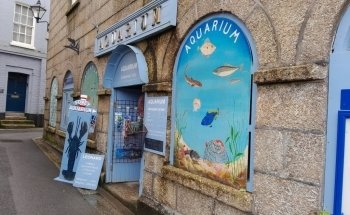 Fowey Aquarium